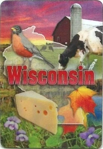 Imán para nevera 3D Wisconsin - Imagen 1 de 2