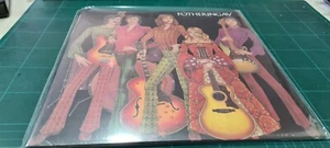 FOTHERINGAY (SANDY DENNY) - FOTHERINGAY (LP VINILE GATEFOLD SIGILLATO RISTAMPA) - Foto 1 di 2