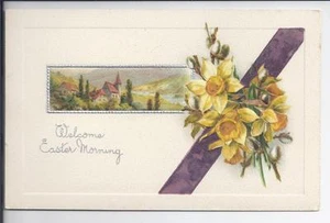 MINT John Winsch Series 481 Daffodil Flower  Postcard - Picture 1 of 1