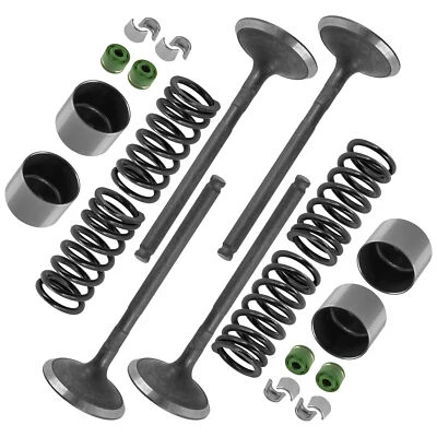 Exhaust Valve Kit For Arctic Cat Bearcat Z1 XT LTD 2010-2014 / 3007784 3007860 Foto 1 de 4