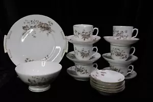 ANTIQUE RARE D & C LIMOGES DELINIERES & CO LIMOGES 18 63-1900 FRANCE 19 PIECES - Picture 1 of 15