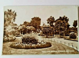 The Morrab Gardens Penzance Cornwall Echtfoto 9607 - Bild 1 von 4
