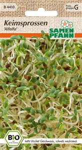 Samen Pfann B4410 Keimsprossen Alfalfa (Bio-Keimsprossen) - Bild 1 von 2