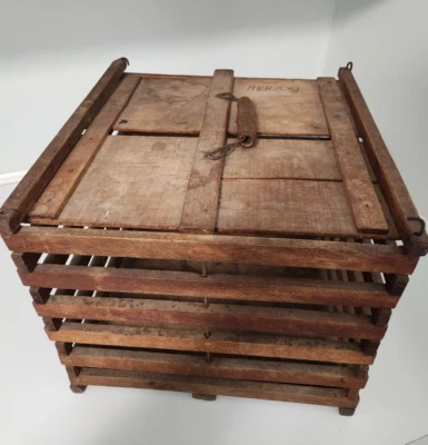 Antique c. 1900 Wooden Safety Egg Carrier Stamped "Humpty Dumpty". - Image 1 of 4