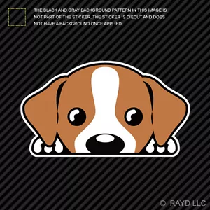 Jack Russell Terrier Sticker Die Cut Decal Self Adhesive Vinyl - Picture 1 of 1