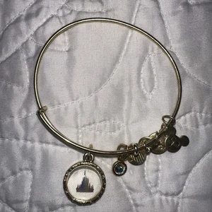 WDW 50th Anniversary Cinderella Castle Alex And Ani Bangle Bracelet Disney World - Picture 1 of 2