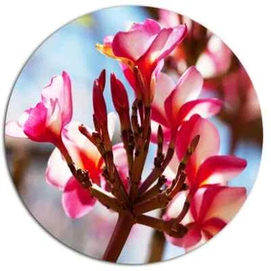 Designart Bunch Of Beautiful Tropical Flowers 23 in Metal Wall Art Decor Picture - Picture 1 of 2