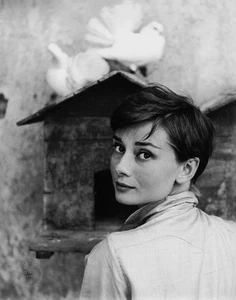 VTG Philippe Halsman Photo Print Audrey Hepburn ActressPortrait 1955 Mat 16x19 - Picture 1 of 2