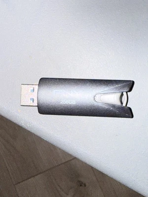 Unidad flash PNY USB 3.2 256 GB negra P-FD256ELT-GE Foto 1 de 2
