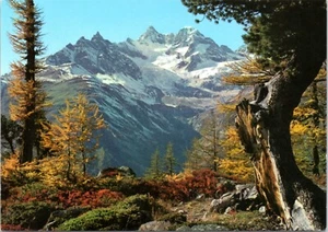 Postcard Switzerland - Obergabelhorn and Wellenkuppe - Picture 1 of 2