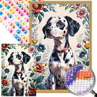 A# 5D Diy Full Round Drill Partial Ab Diamond Painting Spotted Dog Kit Home Deco