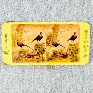 Pheasants Birds and Animals Cardboard Antique Hand-Colored Stereoview - Picture 1 of 5