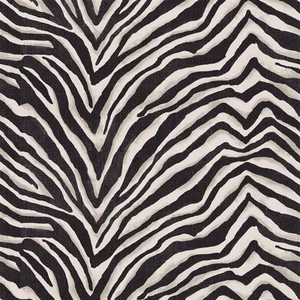 RALPH LAUREN/DESIGNERS GUILD CURTAIN FABRIC Terranea Zebra 4.3 METRES EBONY - Picture 1 of 1
