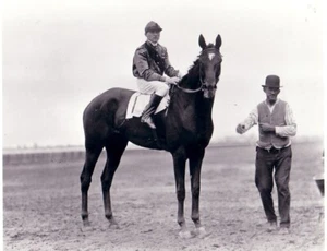 EXTERMINATOR HORSE RACING 8x10 Photo Print - Picture 1 of 1