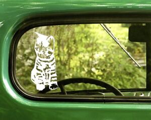 2 KITTEN CAT DECAL Stickers For Car Window Truck Bumper Laptop RV