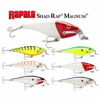 ARTIFICIALE RAPALA SHAD RAP MAGNUM 12 TRAINA - Immagine 1 di 4