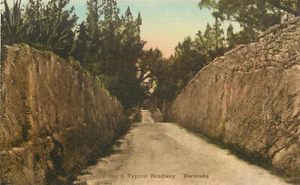 Hand Colored Albertype Postcard A Typical Road Way Bermuda - Picture 1 of 2