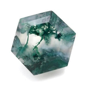 Natural Garden Moss Agate Faceted Cut Hexagon Shape 8X8mm Loose Gemstone 2 Ct. - Picture 1 of 3