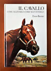 Berner Enzo. Il Cavallo Come Allevarlo Come Mantenerlo - 1° Ediz 1988 Edagricole