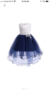 New Toddlers Girls Sleeveless Floral Embroidered Gauzy Dress Flower Girl Easter - Picture 1 of 6