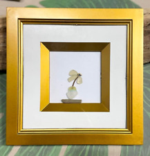 Minimalist Framed Art Sea Glass Flower & Driftwood 8"X8" Gold Frame Shadowbox
