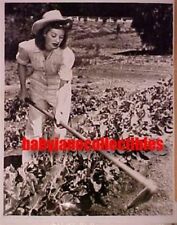 LUCILLE BALL you'll LOVE seeing LUCY gardening candid photo #2 (bw-N)