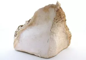 Pietra preziosa cabochon cabina howlite bianca naturale 608 grammi pietra preziosa grezza HS5 - Foto 1 di 4