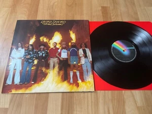 Lynyrd Skynyrd street survivors Lp UK first press near mint - Picture 1 of 11
