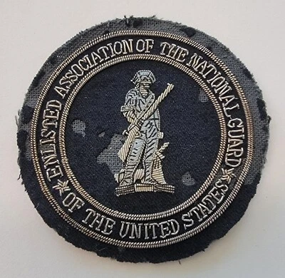PARCHE INSIGNIA EANGUS DE COLECCIÓN ASOCIACIÓN ALISTADA DE LA GUARDIA NACIONAL ESTADOS UNIDOS  Foto 1 de 3