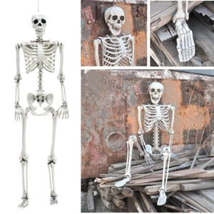 165cm Giant Life Size Human Skeleton Model Horror Bones Posable Halloween Decor - Picture 1 of 12