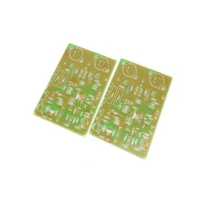 2 pz Guodu QUAD405 Gold Seal PCB AMP Amplificatore Scheda PCB Scheda PCB Vuota - Foto 1 di 5
