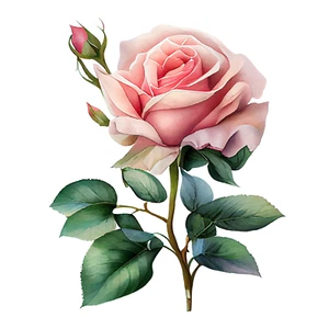 Autoaufkleber Sticker Rose Blumen Aufkleber 9X9 cm - Bild 1 von 1