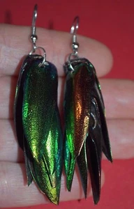 Pendientes Joya Escarabajo Brillante Metálico Verde Elytra Ala Delantera Exoesqueleto Cuelga - Imagen 1 de 1