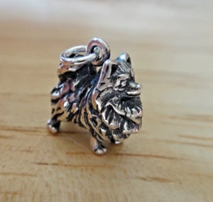 3D 14x15mm Hvy Solid 5.5 gram Pomeranian Dog Sterling Silver Charm - Picture 1 of 5