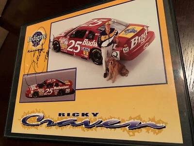 🔥Ricky Craven Autografiado Firmado Automóvil Pedigrí Carreras Foto Budweiser Bud Nascar Foto 1 de 4