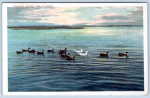 1910 A TYPICAL VERMONT LAKE AT AUTUMN DUCKS ANTIQUE POSTCARD - Picture 1 of 2