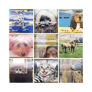 Lot of 9 Vintage Troll Scholastic Classroom Posters Dogs Cats Horses Bicyclist - Picture 1 of 10