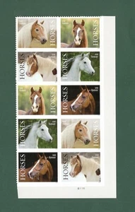 Sc # 5891-5895 ~ Plate # Block of 10 ~ Forever Issue, Horses - Picture 1 of 1