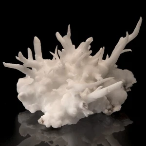 Aragonite Laurium, Prefectura de Ática, Grecia 1502-015 - Imagen 1 de 4