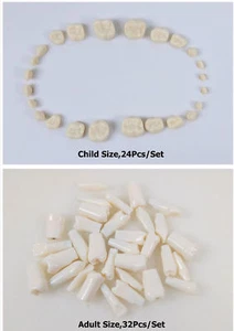 Dental Full Denture False Teeth Study Model For Preparation Practice A/C 1Set  - Picture 1 of 19
