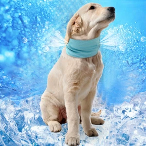 Kühlhalsband für Hunde Kühlendes Halstuch für den Sommer Quick Cooler Bandana  - Picture 1 of 13