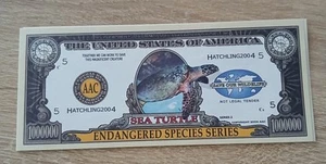 Dollarschein Sea Turtle - Bild 1 von 2