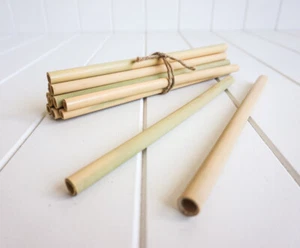 Bamboo Straws - Set of 12 - Eco - Bild 1 von 1
