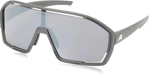 ALPINA Occhiali Da Sole Unisex Bonfire, Midnight Grey Opaci, Taglia Unica - Foto 1 di 12