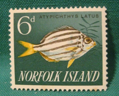 1962-63 Norfolk Island-6d Fish-Mint Hinged Single - Image 1 of 2