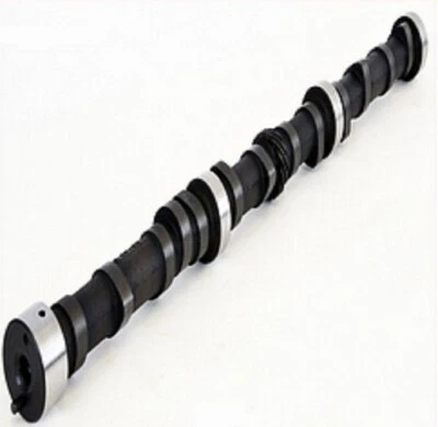 Jeep Truck Van SUV 258 1981-1990 4,2 L L L6 - Kit de árbol de levas y elevadores de tapón plano Foto 1 de 2