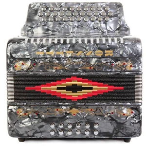 Rossetti 31 Button Accordion 12 Bass FBE Grey - Picture 1 of 4