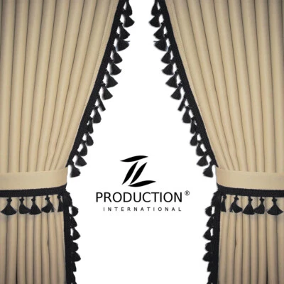 LKW Scheibengardinen-Set für DAF XF106 EURO 6 Super Space Cab Beige-Schwarz B02 - Bild 1 von 4