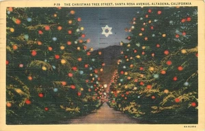 1946 Altadena California Christmas Tree Santa Rosa Teich Postcard 25-9636 - Picture 1 of 2