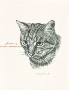 #259 TABBY CAT portrait cat art print * Pen and ink drawing by Jan Jellins - Picture 1 of 1